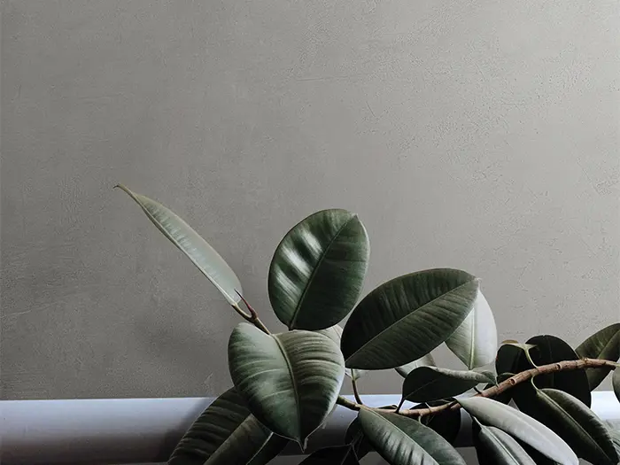 vloertegel Grijs 30 x 60 | 640-539 | Jan Groen Tegels