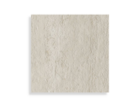 vloertegel Wit 120 x 120 | 546-663 | Jan Groen Tegels