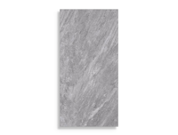 vloertegel Grijs 30 x 60 | 797-749 | Jan Groen Tegels