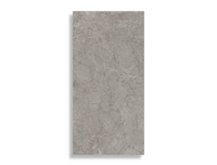 vloertegel Grijs 60 x 120 | 689-408 | Jan Groen Tegels