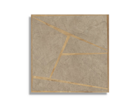 vloertegel Taupe 120 x 120 | 104-939 | Jan Groen Tegels