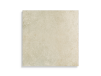 vloertegel Beige 100 x 100 | 146-143 | Jan Groen Tegels