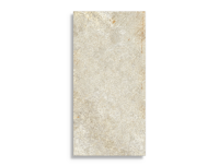 vloertegel Multi 60 x 120 | 258-580 | Jan Groen Tegels