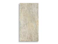 vloertegel Multi 60 x 120 | 258-580 | Jan Groen Tegels