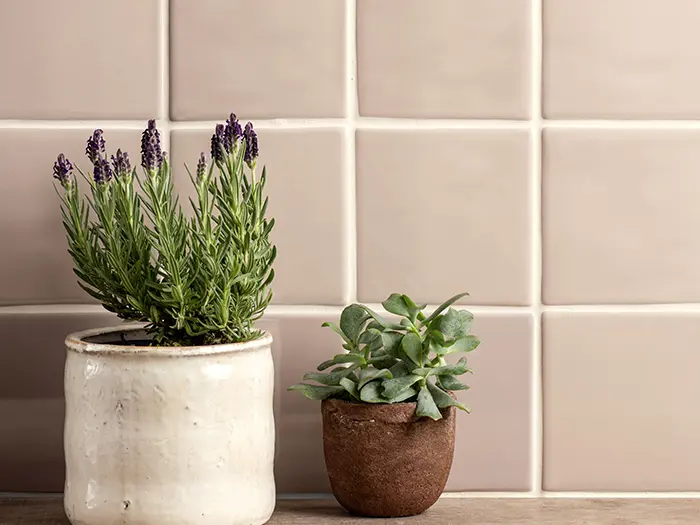 Wandtegels Beige 12.7 x 12.7 | 389-280 | Jan Groen Tegels