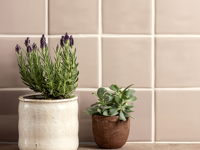 wandtegel Beige 12.7 x 12.7 | 389-280 | Jan Groen Tegels