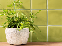 wandtegel Groen 12.7 x 12.7 | 768-895 | Jan Groen Tegels