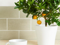 wandtegel Beige 10 x 20 | 501-910 | Jan Groen Tegels