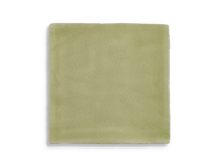 wandtegel Groen 13 x 13 | 849-773 | Jan Groen Tegels