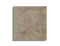 vloertegel Taupe 60 x 60 | 928-616 | Jan Groen Tegels