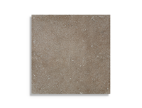 vloertegel Bruin 80 x 80 | 399-012 | Jan Groen Tegels