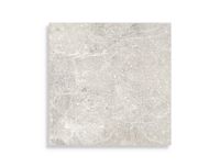 vloertegel Porcelanosa Noir Caliza 59,6 x 59,6 | 850-116 | Jan Groen Tegels