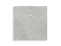 vloertegel Porcelanosa Lucerna Acero 59,6 x 59,6 | 764-701 | Jan Groen Tegels