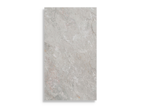 wandtegel Porcelanosa Image Silver 25 x 44,3 | 916-455 | Jan Groen Tegels