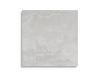 vloertegel Porcelanosa Dover Acero 59,6 x 59,6 | 681-197 | Jan Groen Tegels