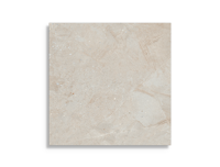 vloertegel Porcelanosa Durango Acero 120 x 120 | 808-714 | Jan Groen Tegels