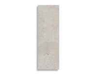 wandtegel Porcelanosa Durango Acero 33,3 x 100 | 905-987 | Jan Groen Tegels