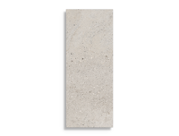 wandtegel Porcelanosa Durango Acero 59,6 x 150 | 762-421 | Jan Groen Tegels