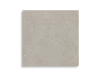 Tuintegel Sintesi Frammenti Beige 20Mm Ret 60,4 x 60,4 | 121-018 | Jan Groen Tegels