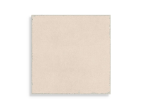 Vloertegels Dune Valencia Coral 20 x 20 | 684-483 | Jan Groen Tegels