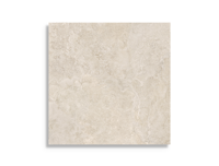 Tuintegel STN Outdoor Premiere Natural 60 x 60 | 548-551 | Jan Groen Tegels