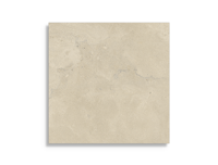 Vloertegel Pamesa Portlandstone Taupe Rec 60 x 60 | 823-542 | Jan Groen Tegels