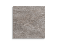 Vloertegel Pamesa Wells Moka Pulido 60 x 60 | 153-937 | Jan Groen Tegels