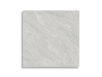 vloertegel Grijs 120 x 120 | 887-965 | Jan Groen Tegels