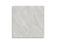 vloertegel Grijs 120 x 120 | 887-965 | Jan Groen Tegels