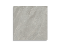 vloertegel Grijs 80 x 80 | 517-760 | Jan Groen Tegels