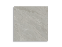 vloertegel Grijs 80 x 80 | 517-760 | Jan Groen Tegels