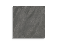 vloertegel Antraciet 80 x 80 | 344-304 | Jan Groen Tegels