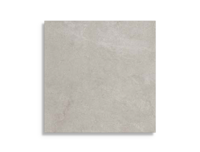 Vloertegel B&B Street Polvere 60 x 60 | 607-046 | Jan Groen Tegels