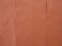 wandtegel Oranje 6.2 x 25 | 707-071 | Jan Groen Tegels