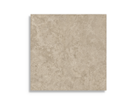 vloertegel Beige 60 x 60 | 658-532 | Jan Groen Tegels