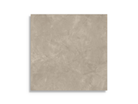 vloertegel Bruin 80 x 80 | 838-886 | Jan Groen Tegels