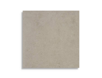 Vloertegel Rak Creative Concrete P Stone Beige 80 x 80 | 666-096 | Jan Groen Tegels