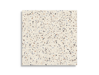 vloertegel Multi 60 x 60 | 274-196 | Jan Groen Tegels