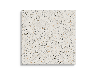 vloertegel Multi 60 x 60 | 010-590 | Jan Groen Tegels