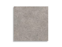 vloertegel Antraciet 100 x 100 | 379-144 | Jan Groen Tegels