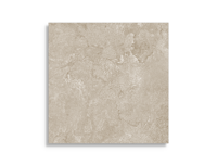 Vloertegels STN Cruise Greige 100 x 100 | 742-630 | Jan Groen Tegels