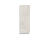 wandtegel Beige 30 x 90 | 495-290 | Jan Groen Tegels