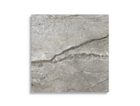 vloertegel Grijs 60 x 60 | 449-593 | Jan Groen Tegels