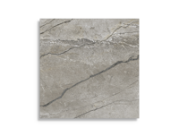 vloertegel Grijs 60 x 60 | 449-593 | Jan Groen Tegels