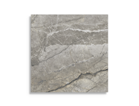 vloertegel Grijs 60 x 60 | 449-593 | Jan Groen Tegels