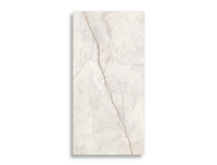 vloertegel Wit 60 x 120 | 875-001 | Jan Groen Tegels