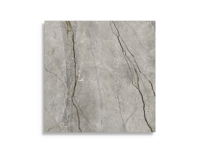 vloertegel Grijs 120 x 120 | 019-982 | Jan Groen Tegels