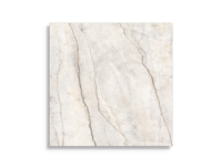 vloertegel Wit 120 x 120 | 259-779 | Jan Groen Tegels