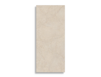 vloertegel Beige 60 x 120 | 195-512 | Jan Groen Tegels