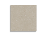 tuintegel Beige 60 x 60 | 596-958 | Jan Groen Tegels